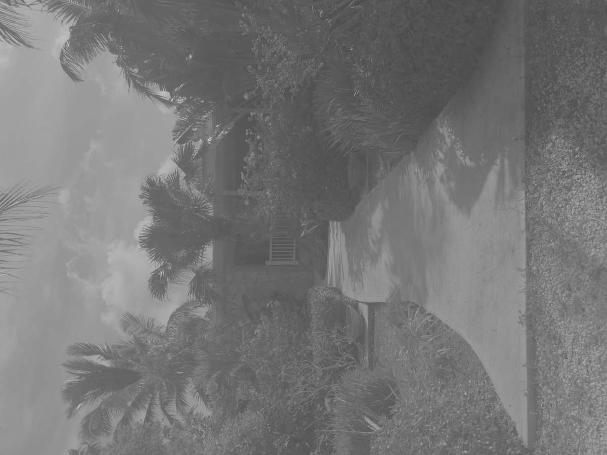 Tropical path