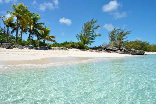 Palm trees stand above a white sand beach where the shallows are clear.