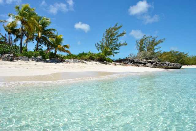 Palm trees stand above a white sand beach where the shallows are clear.