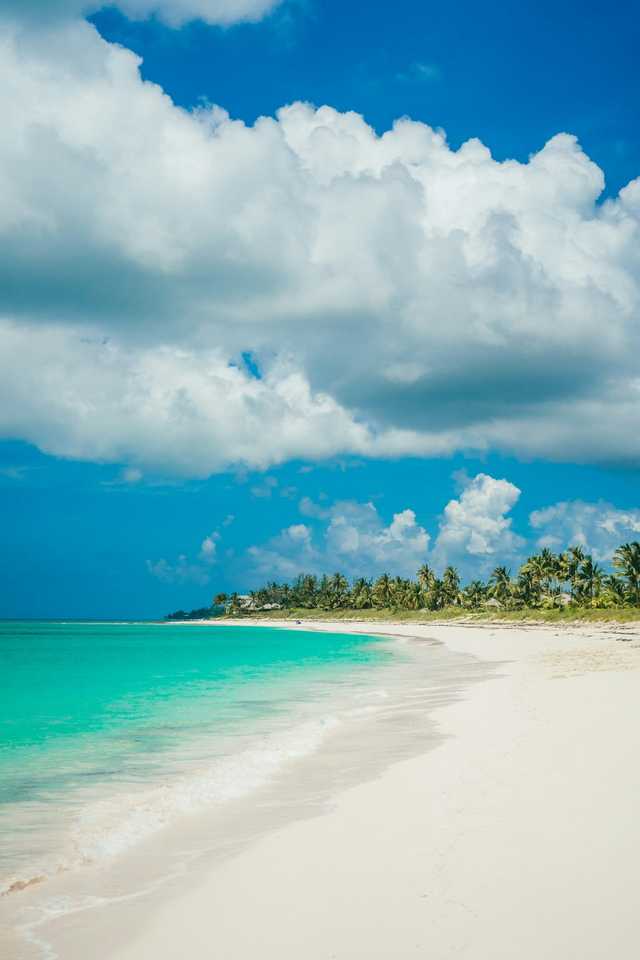 Palm trees line a white sand beach beside calm turquoise water.